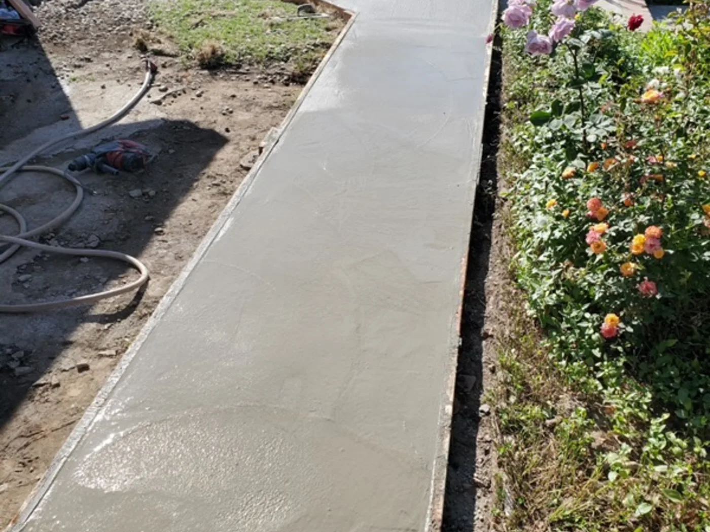 After: Newly poured concrete front walkway running past the same rose bed